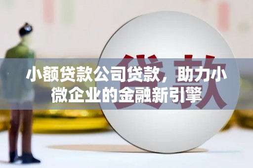 朱家尖小额贷款公司贷款，助力小微企业的金融新引擎