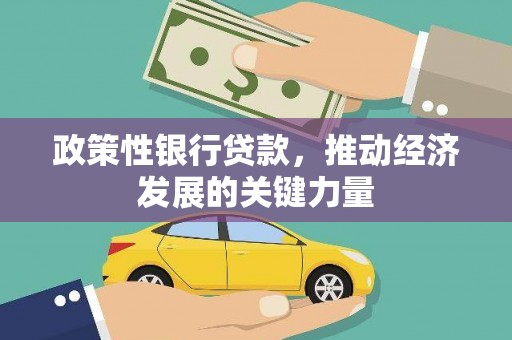 朱家尖政策性银行贷款，推动经济发展的关键力量