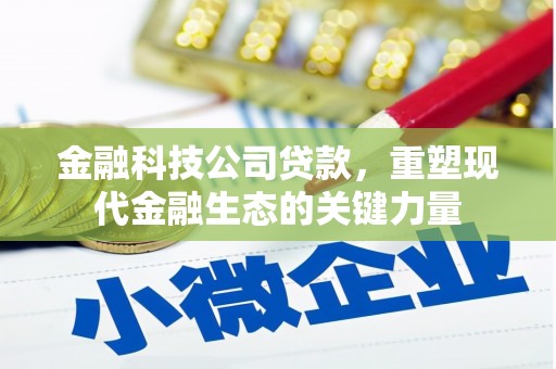 朱家尖金融科技公司贷款，重塑现代金融生态的关键力量