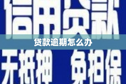 朱家尖贷款逾期怎么办