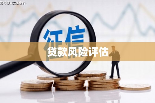 朱家尖贷款风险评估