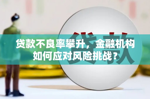 朱家尖贷款不良率攀升，金融机构如何应对风险挑战？