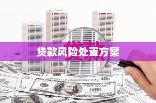 朱家尖贷款风险处置方案