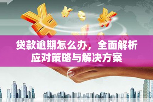朱家尖贷款逾期怎么办，全面解析应对策略与解决方案