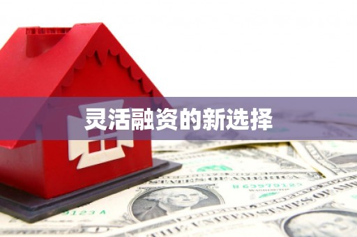 朱家尖灵活融资的新选择