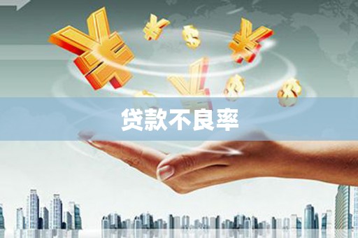 朱家尖贷款不良率