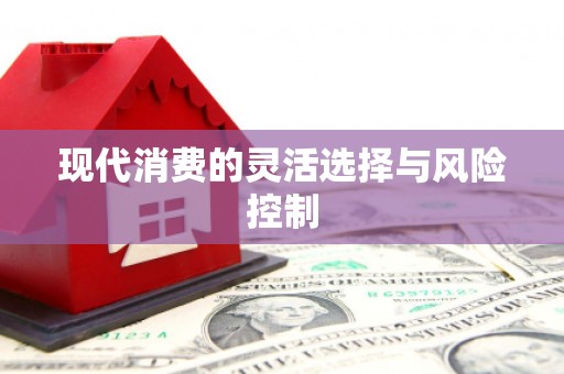 朱家尖现代消费的灵活选择与风险控制