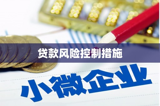 朱家尖贷款风险控制措施