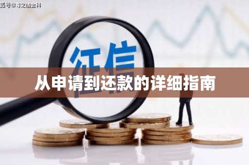 朱家尖从申请到还款的详细指南