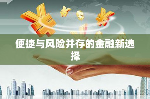 朱家尖便捷与风险并存的金融新选择