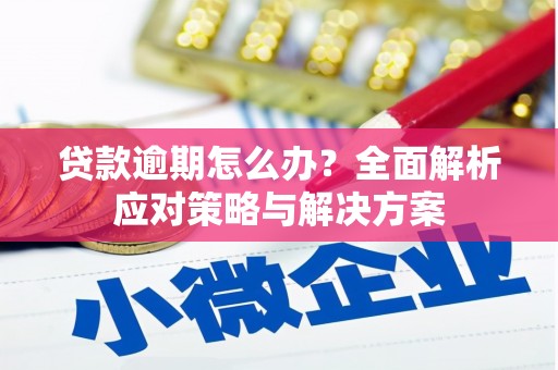 朱家尖贷款逾期怎么办？全面解析应对策略与解决方案