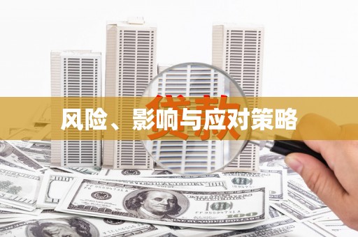 朱家尖风险、影响与应对策略
