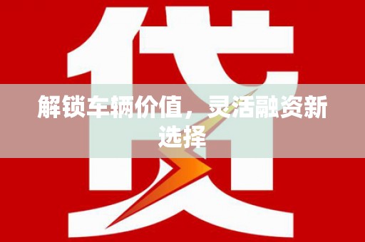 朱家尖解锁车辆价值，灵活融资新选择