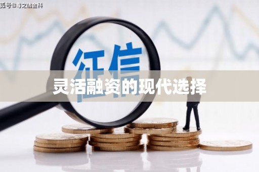 朱家尖灵活融资的现代选择
