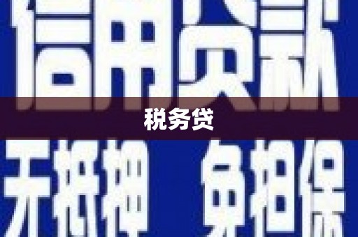 朱家尖税务贷