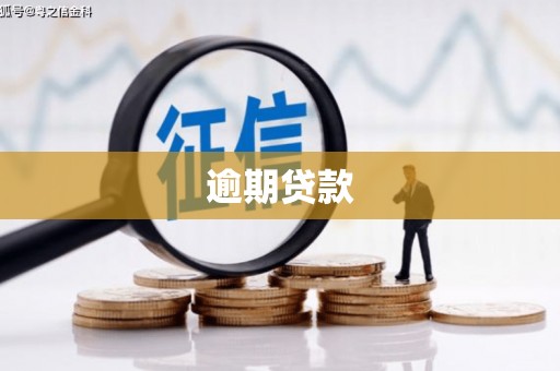 朱家尖逾期贷款