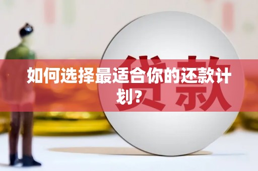 朱家尖如何选择最适合你的还款计划？