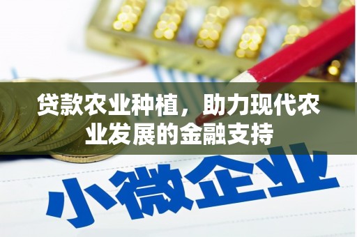 朱家尖贷款农业种植，助力现代农业发展的金融支持