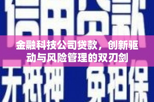 朱家尖金融科技公司贷款，创新驱动与风险管理的双刃剑
